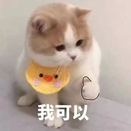 企业微信截图_16045472005247.png